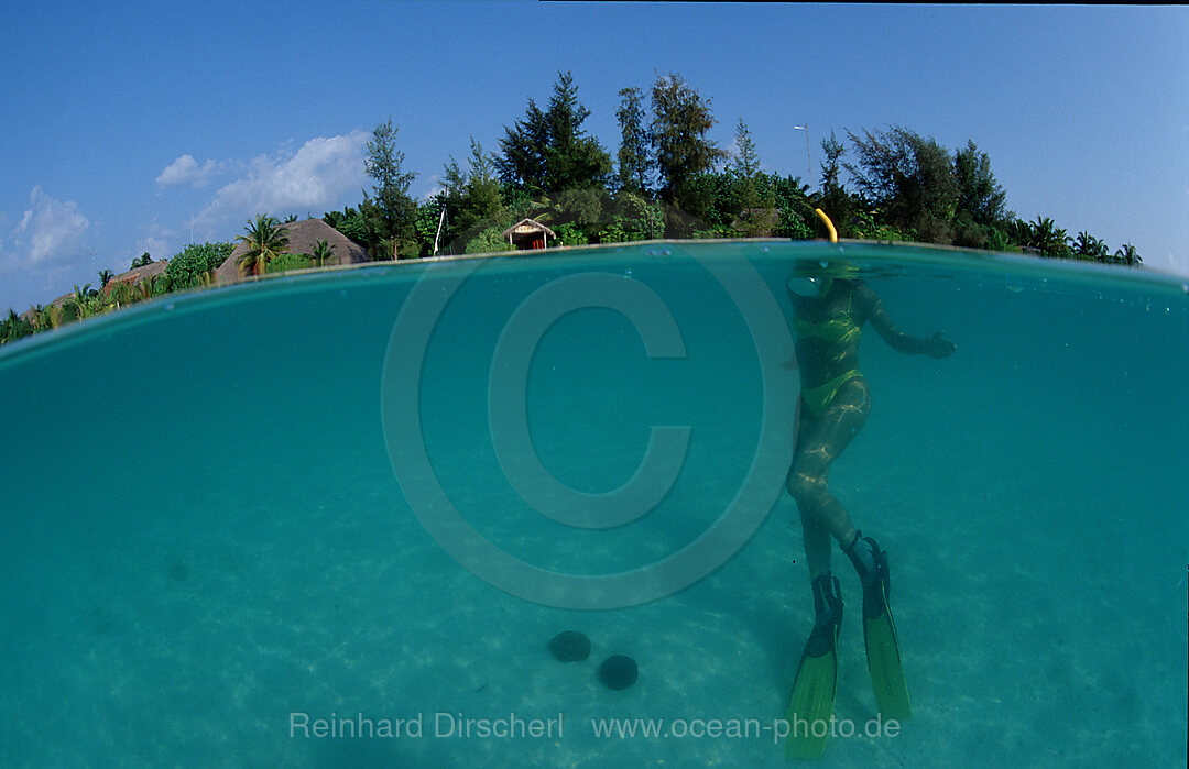 Snorkeling, scin diver, split image