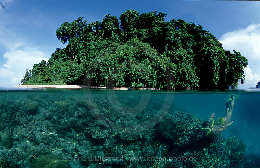 Schnorcheln vor tropischer Insel, Pazifik, Papua Neu Guinea