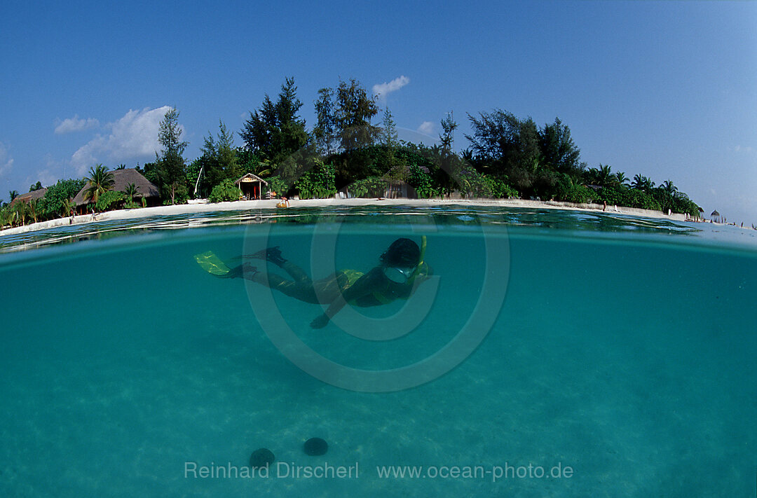 Schnorcheln vor maledivischer Insel, Indischer Ozean, Ari Atoll, Maayafushi, Malediven