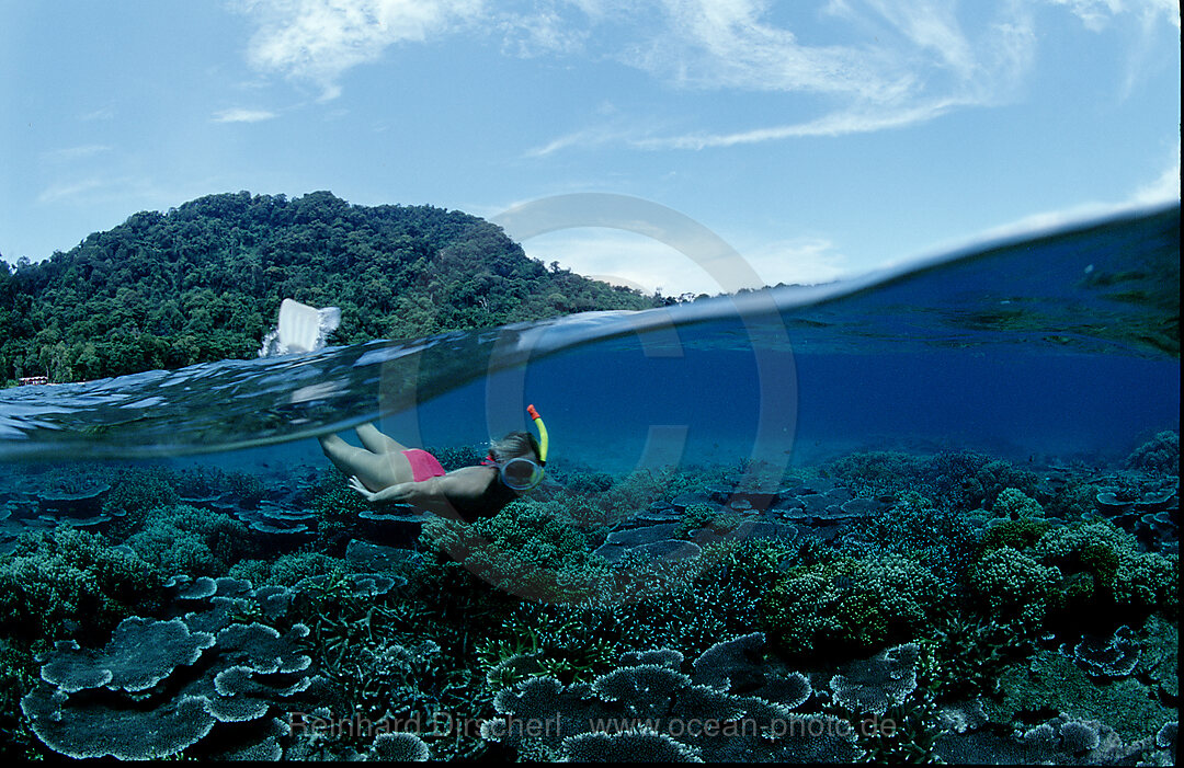 Schnorcheln vor tropischer Insel, Suedchinesisches Meer, Malaysia, Pulau Tenggol