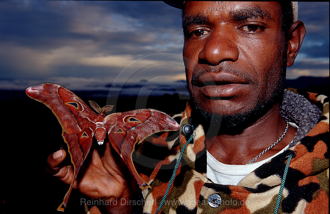 Huli Guide mit Schmetterling, Tari, Huli, Highlands, Papua Neu Guinea