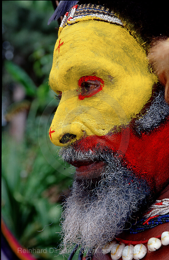 Huli Perueckenmann, Tari, Huli, Highlands, Papua Neu Guinea