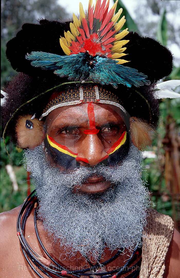 Huli Perueckenmann, Tari, Huli, Highlands, Papua Neu Guinea