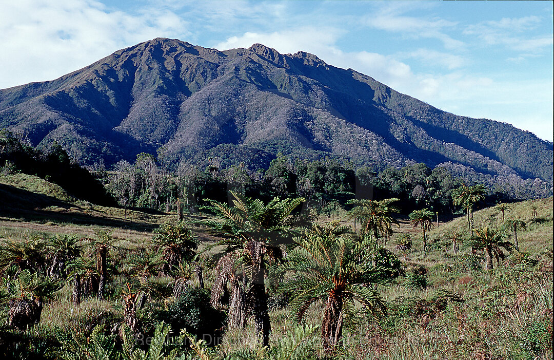 Mount Kerawa, Tari, Huli, Highlands, Papua Neu Guinea