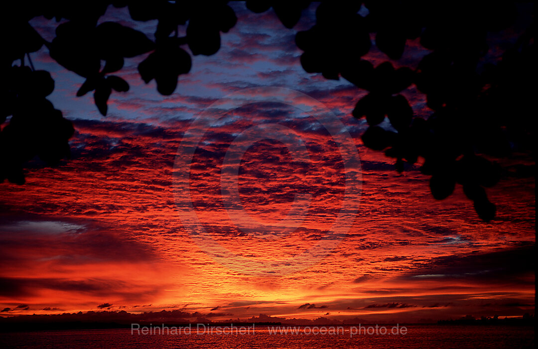 Dawn