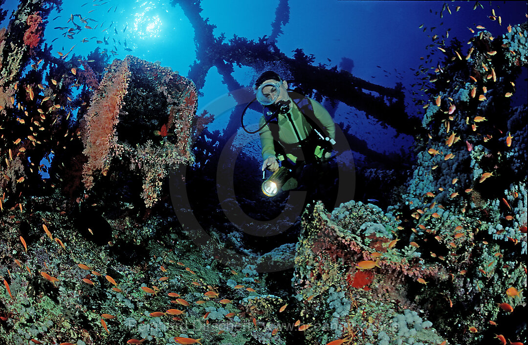 scuba diving in the shipwreck Numidia, scuba diver