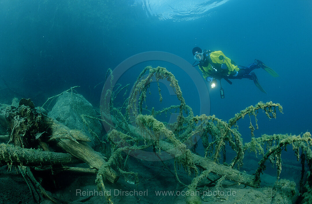 Scuba Diver in a mountain lake