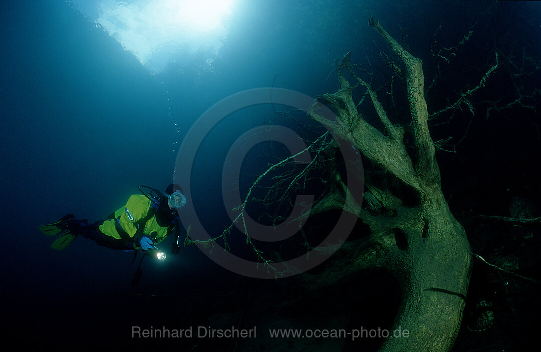 Scuba Diver in a mountain lake
