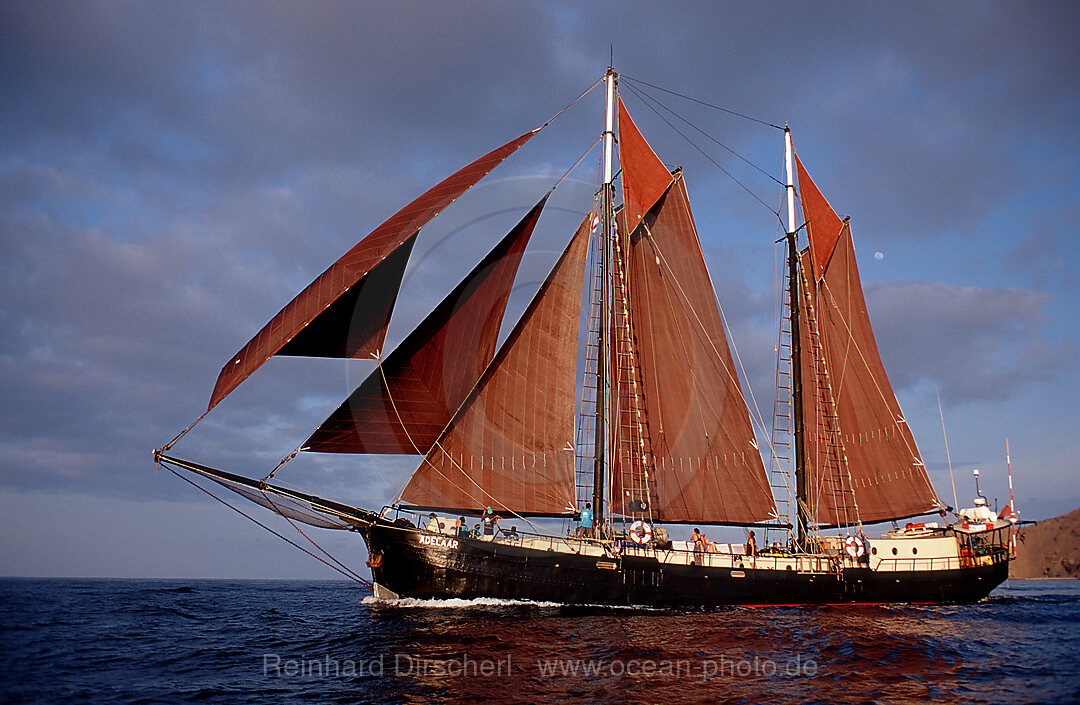 Segelschiff Adelaar