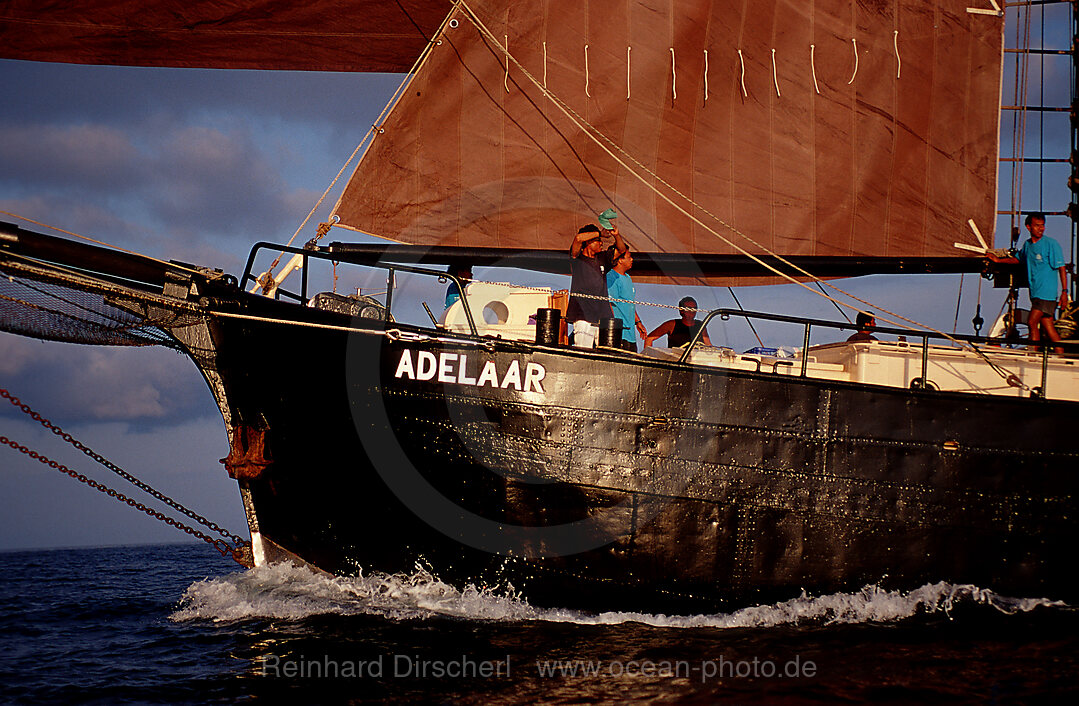 Sailing Ship, Tall Ship Adelaar, Indian Ocean, Komodo National Park, Indonesia