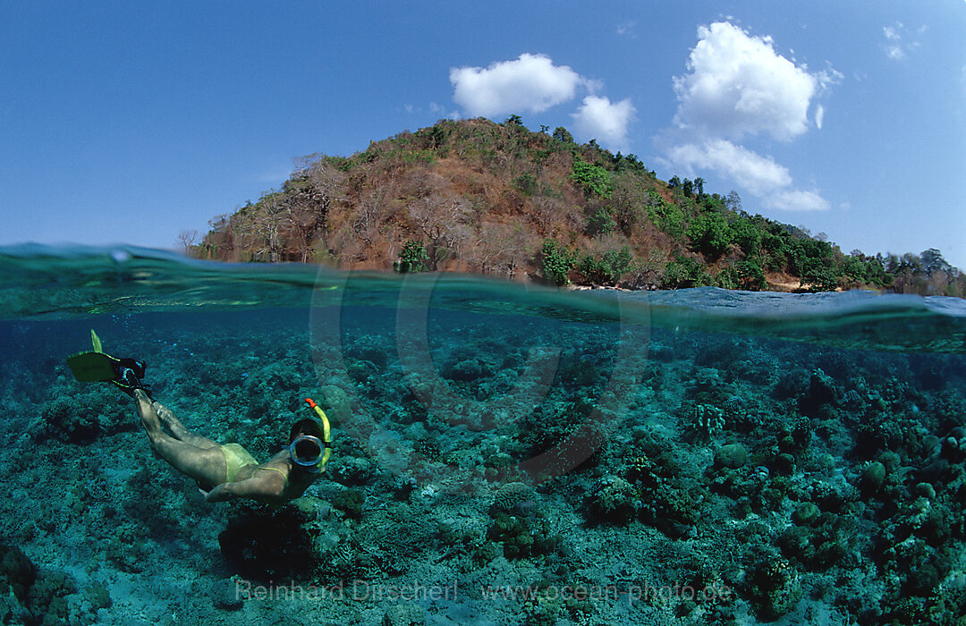 Skin Diving near Komodo, Skin diver