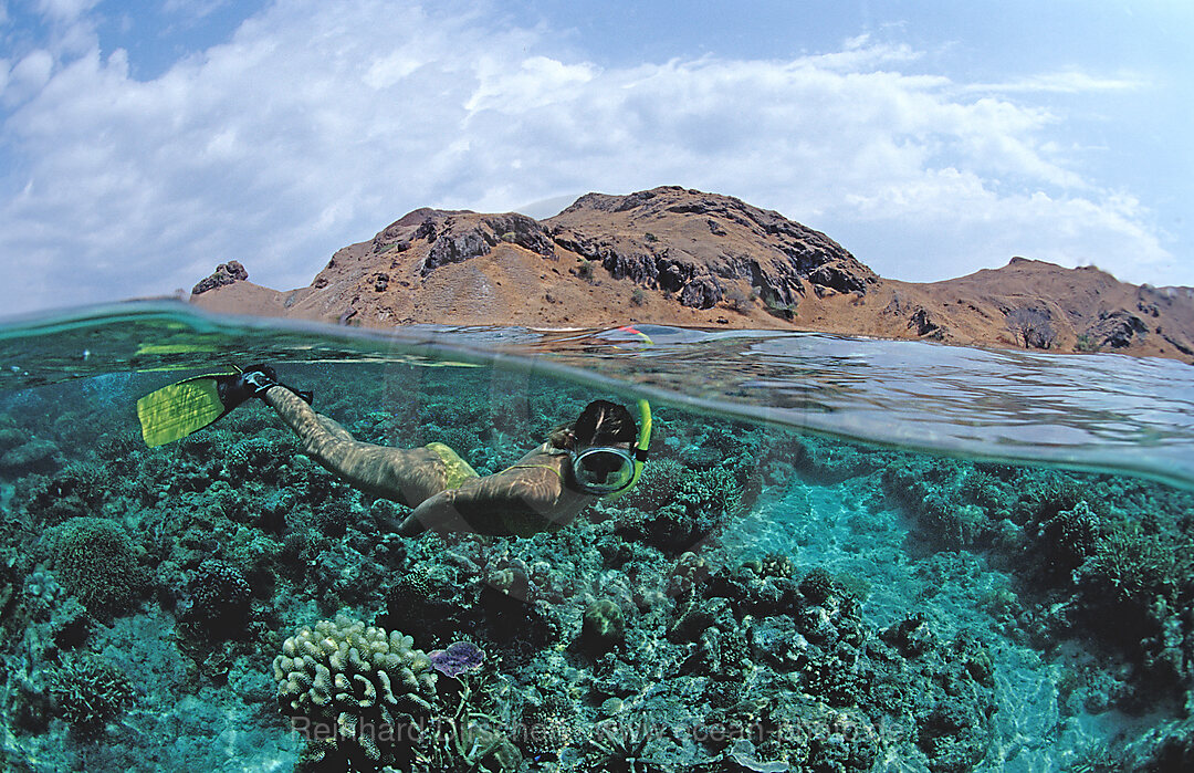 Skin Diving near Komodo, Skin diver