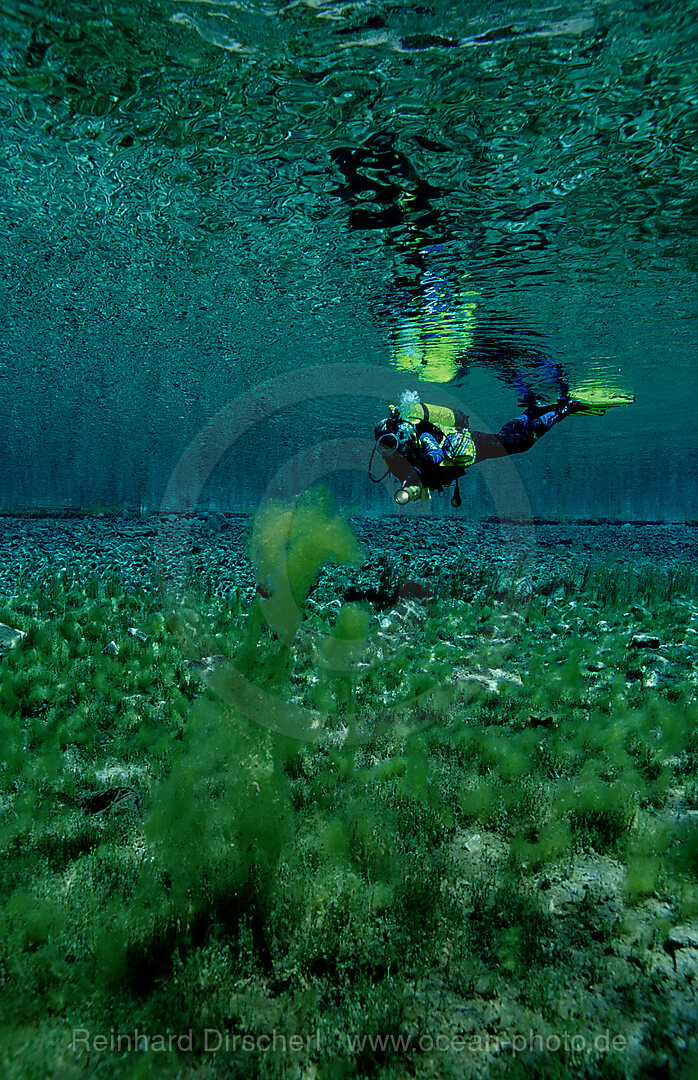 Scuba diver in mountain lake