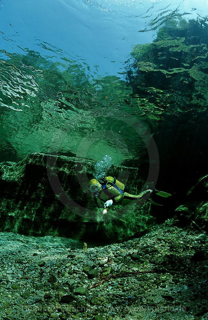 Flusstauchen in der Traun, Steiermark, Gruener See, sterreich, Oesterreich