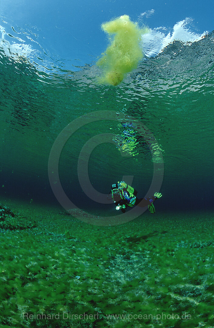 Scuba Diver in a mountain lake