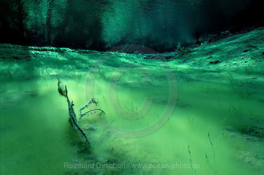 spring, mountain spring, mountain lake, Steiermark, Gruener See, Austria