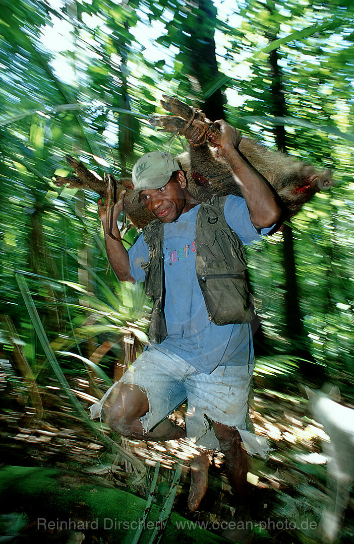 Einheimischer Jaeger mit Wildschwein, New Britain, Hoskins, Papua Neu Guinea