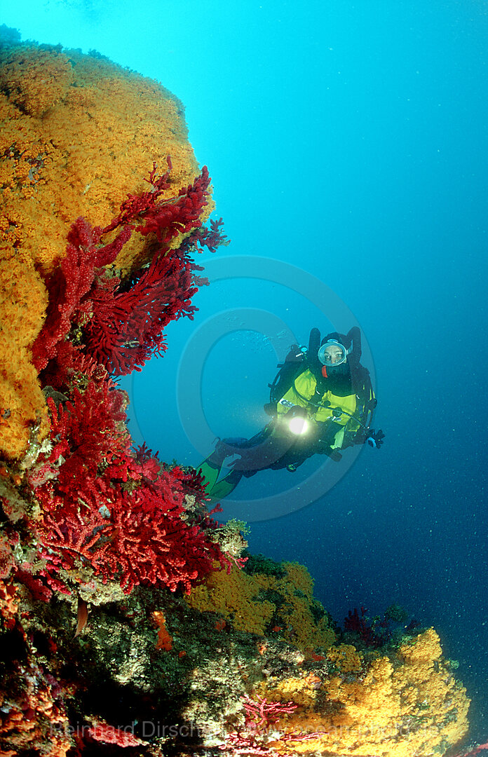 Taucher mit Kreislauftauchgeraet, Mittelmeer, Costa Brava, Spanien