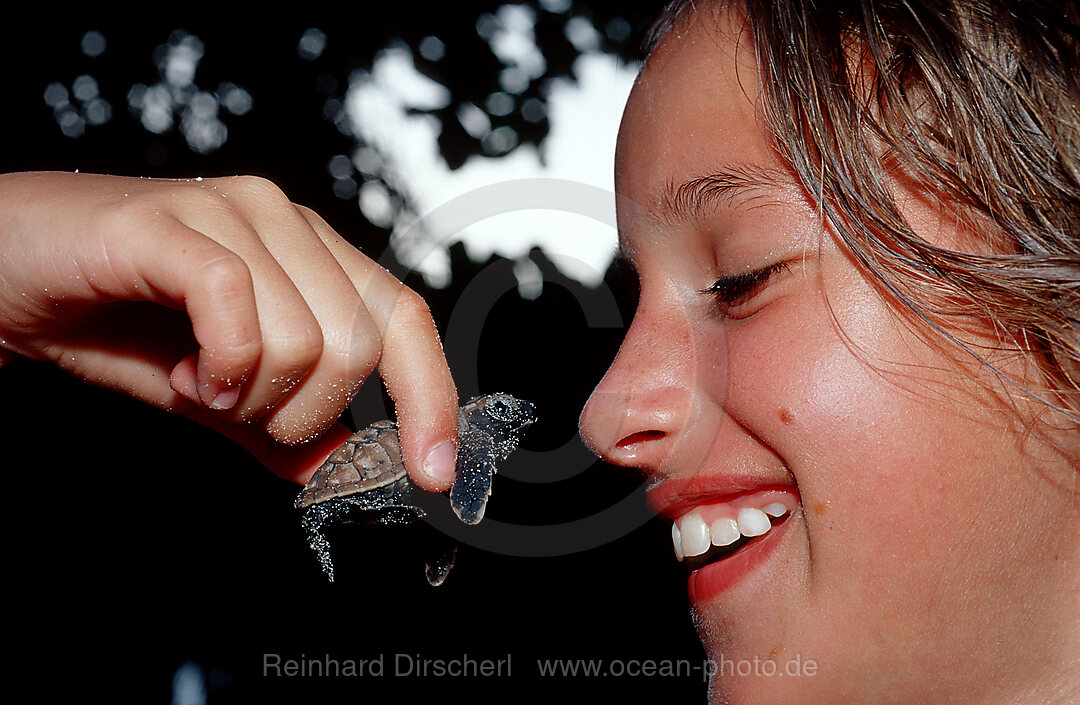 Maedchen haelt Baby Suppenschildkroete, Gruene Meeresschildkroete, Chelonia mydas, Pazifik, Pacific ocean, Borneo, Sipadan, Malaysia