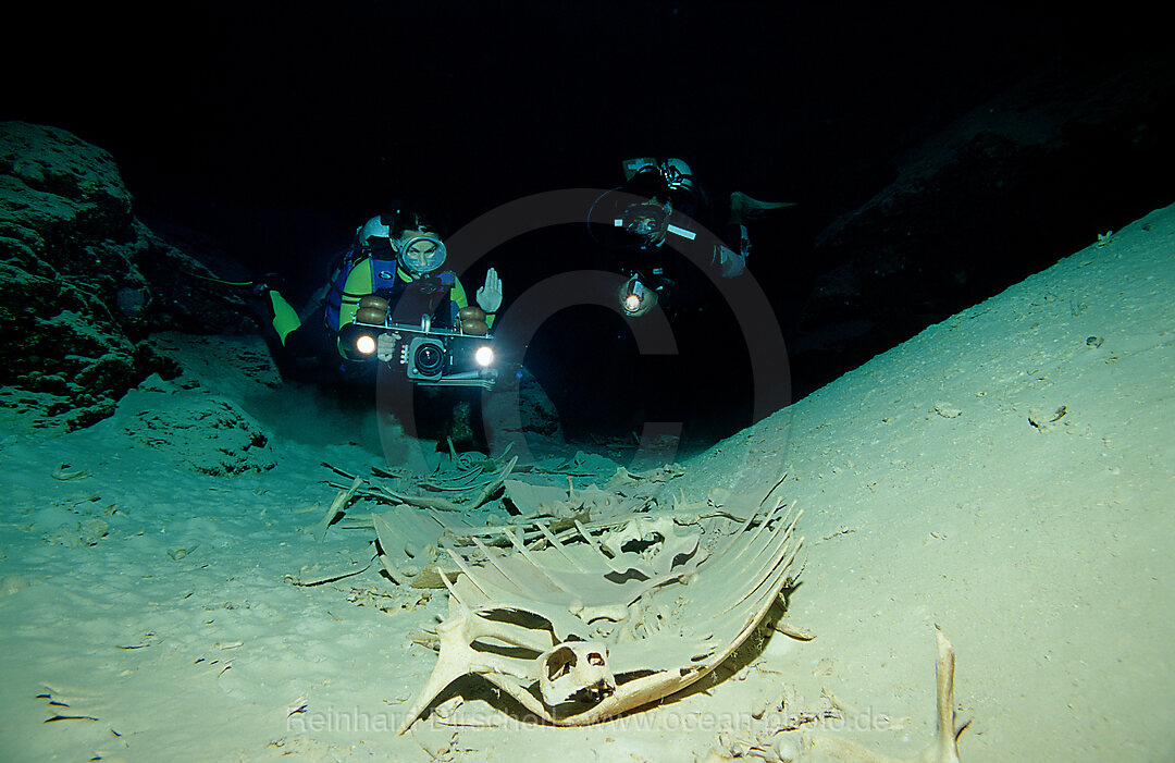 Hoehlentaucher und Schildkroetenskelett, Hoehlentauchen, Pazifik, Pacific ocean, Borneo, Sipadan, Malaysia