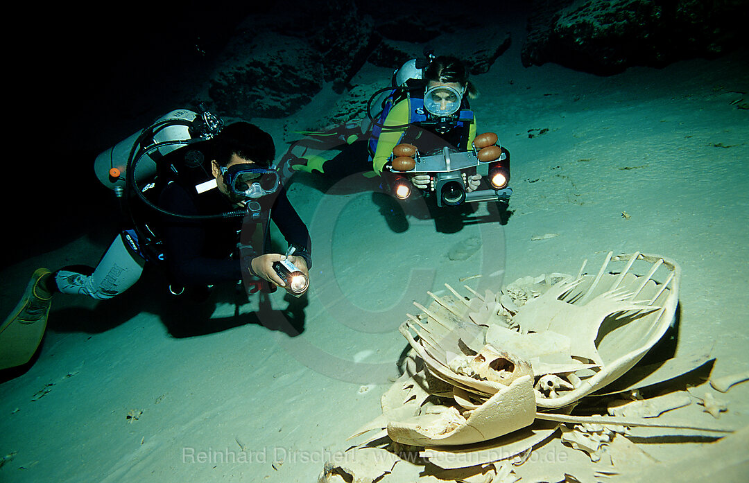 Hoehlentaucher und Schildkroetenskelett, Hoehlentauchen, Pazifik, Pacific ocean, Borneo, Sipadan, Malaysia