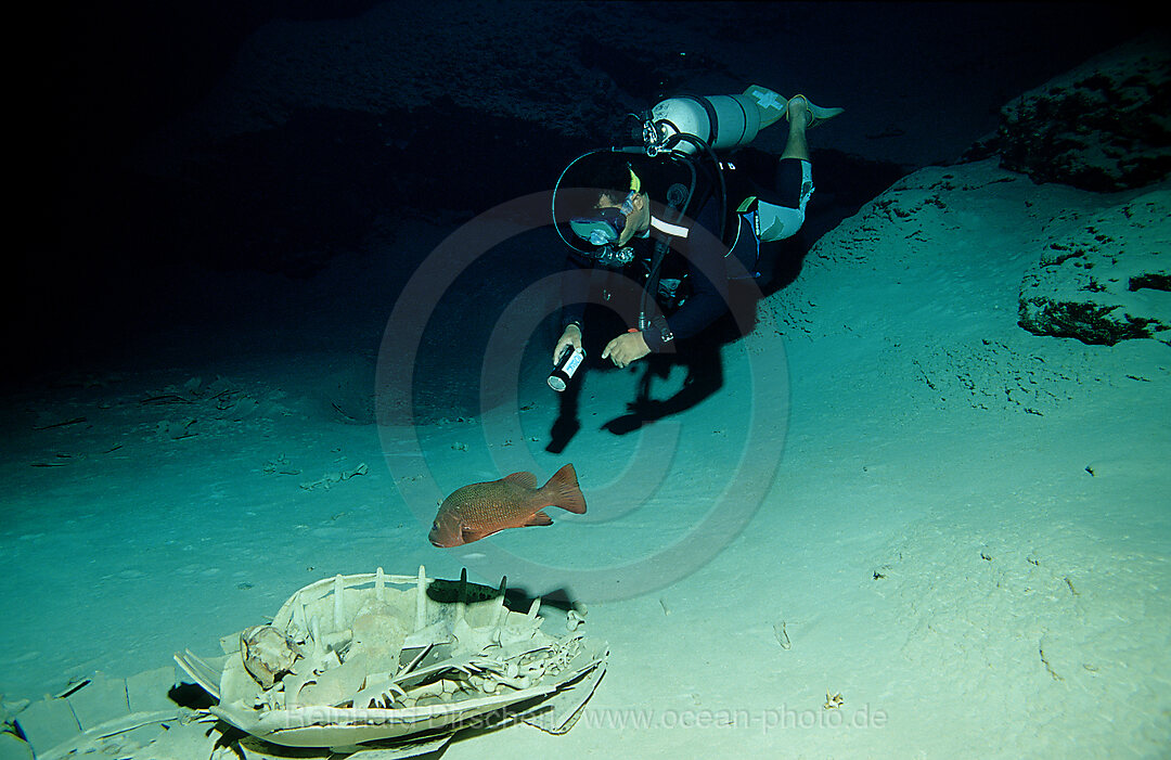 Hoehlentaucher und Schildkroetenskelett, Hoehlentauchen, Pazifik, Pacific ocean, Borneo, Sipadan, Malaysia