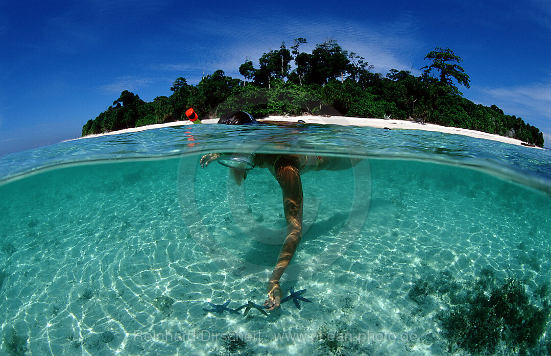 Skindiving, Skin diver, split image, Pazifik, Pacific ocean, Borneo, Lankayan, Malaysia