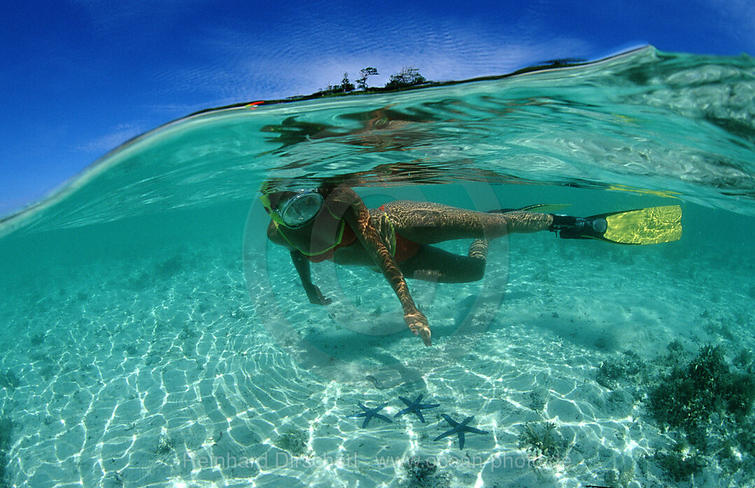 Skindiving, Skin diver, split image