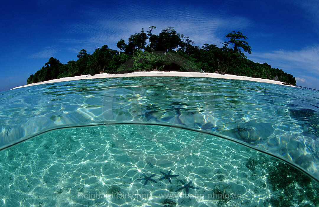 Skindiving, Skin diver, split image, Pazifik, Pacific ocean, Borneo, Lankayan, Malaysia