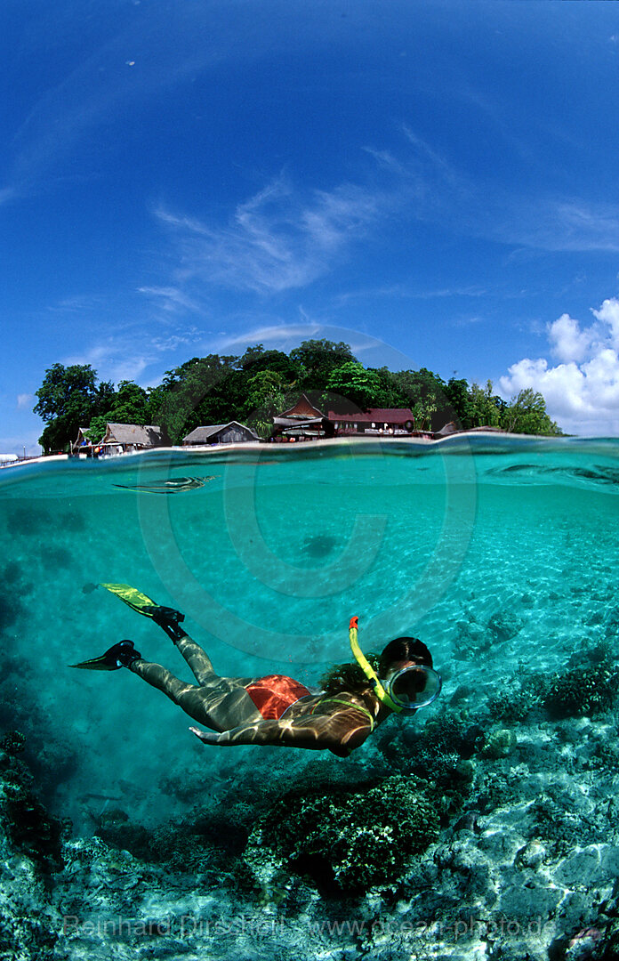 Schnorcheln vor tropischer Insel, Pazifik, Pacific ocean, Borneo, Sipadan, Malaysia