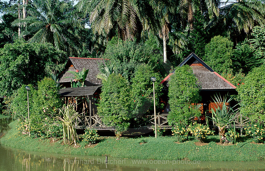 Sepilok Nature Resort, Borneo, Sabah, Sepilok, Malaysia