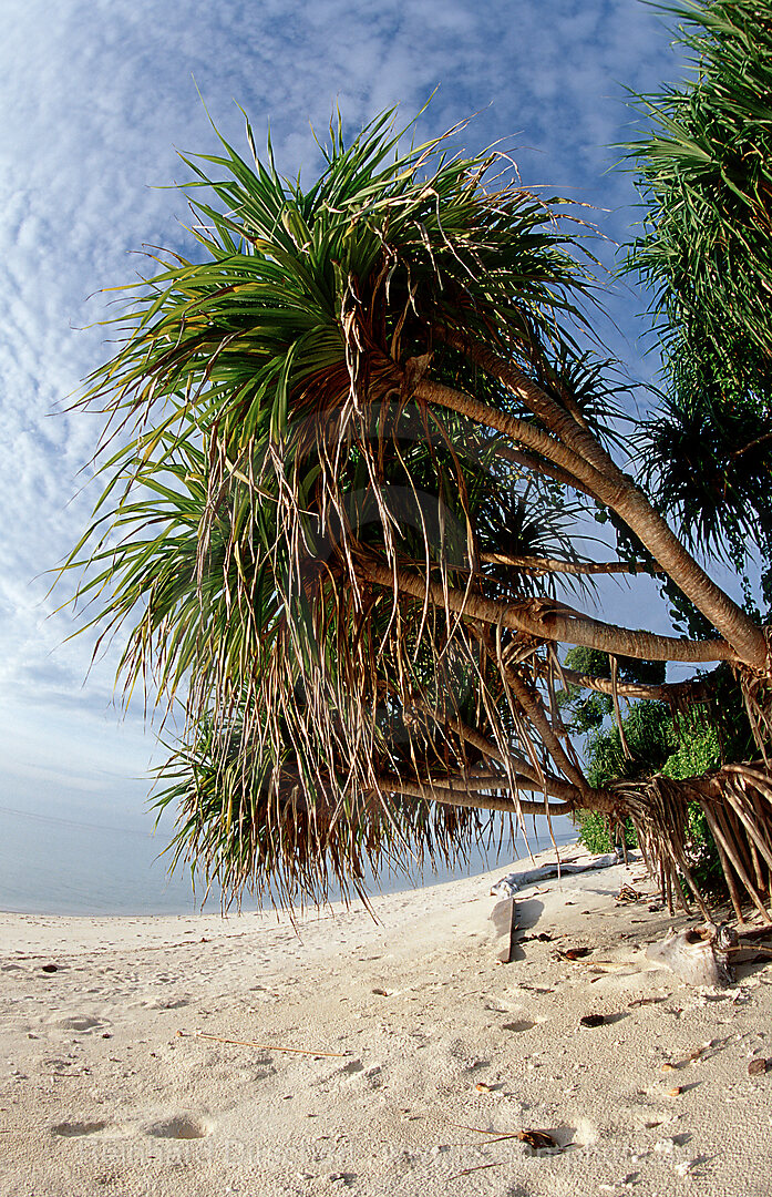 Strand der Insel Lankayan, Borneo, Sabah, Lankayan, Malaysia