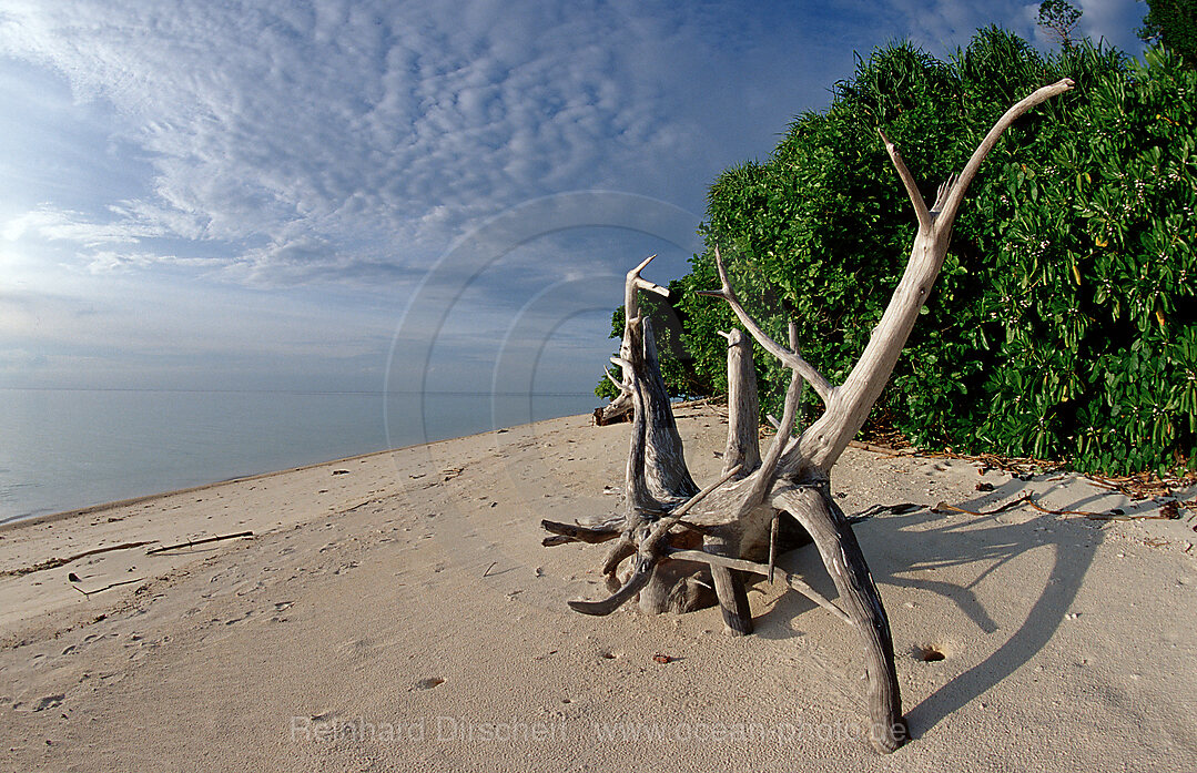 Strand der Insel Lankayan, Borneo, Sabah, Lankayan, Malaysia