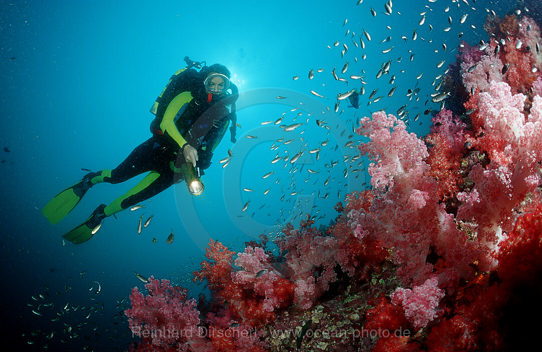 Coral reef and scuba diver with rebreather