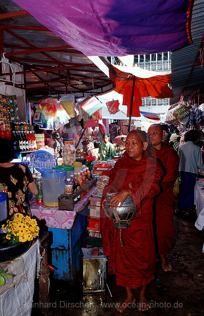 Buddhist monks, Kawthaung, Burma, Myanmar, Birma