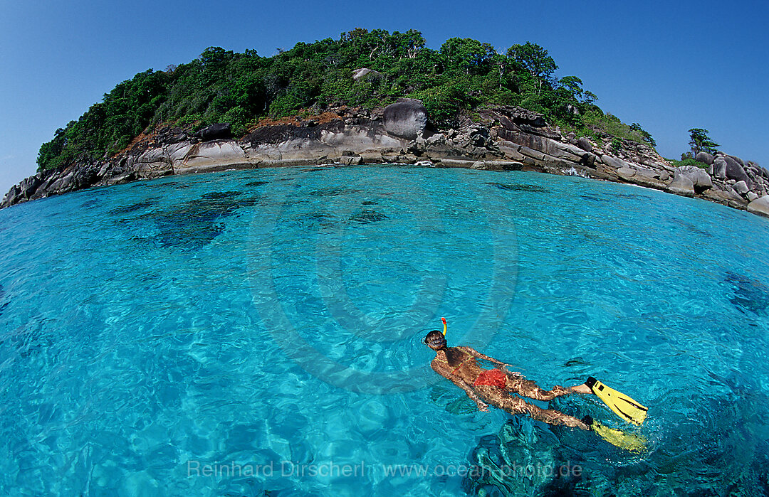 Schnorcheln vor tropischer Insel, Indischer Ozean, Phuket, Similan Inseln, Andamanensee, Thailand