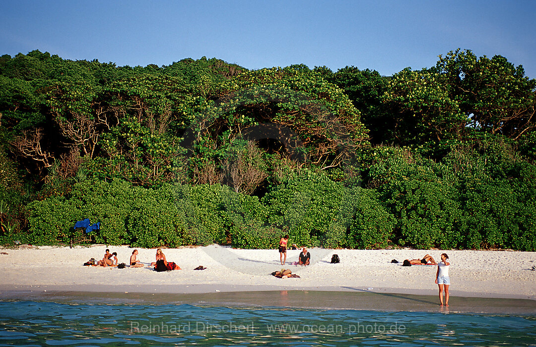 Similan Islands, Similans