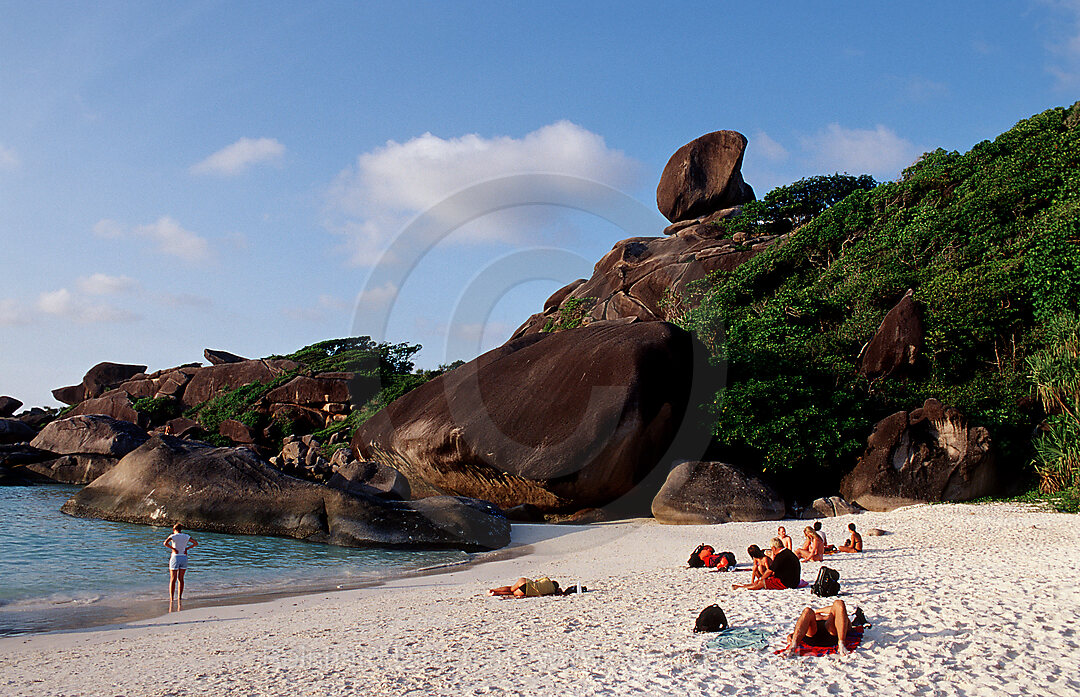 Similan Islands, Similans
