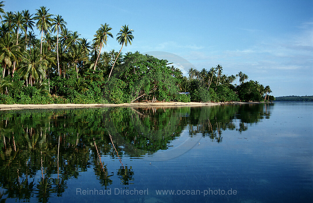 Insel mit Kokospalmen, Neu Irland, New Ireland, Papua Neu Guinea