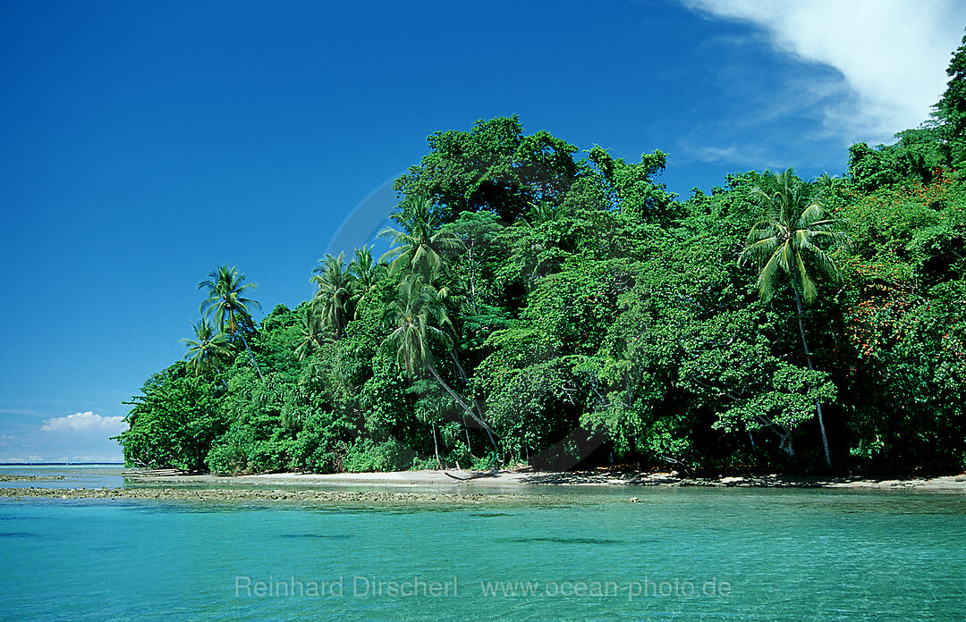 Insel mit Mangroven