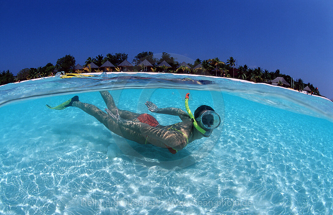 Snorkeling woman near maldives island Kuredu, Indian Ocean, Lhaviyani Atoll, Kuredu, Maldives Island