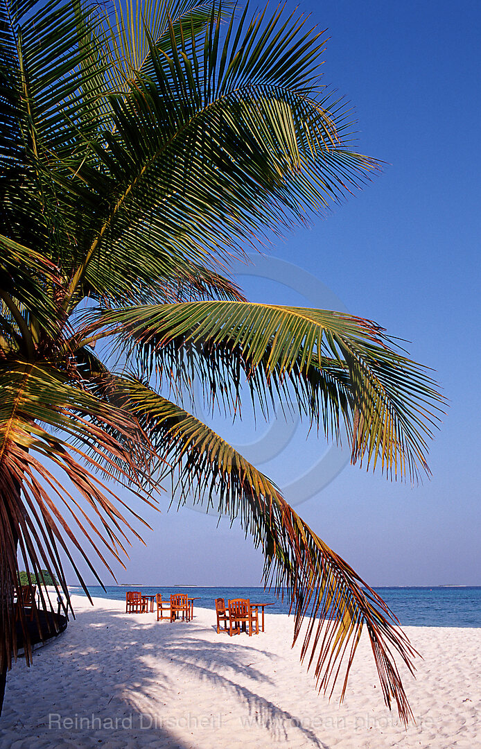 Malediveninsel Kuredu, Strand
