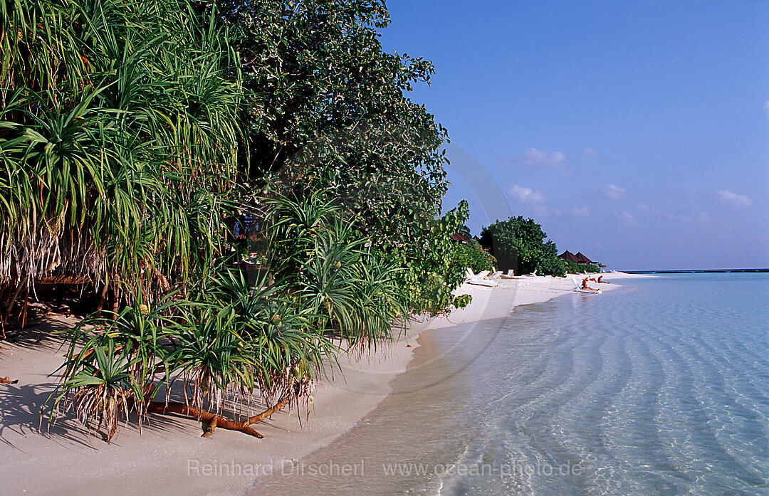 Malediveninsel Strand, Indischer Ozean, Lhaviyani Atoll, Kuredu, Malediven