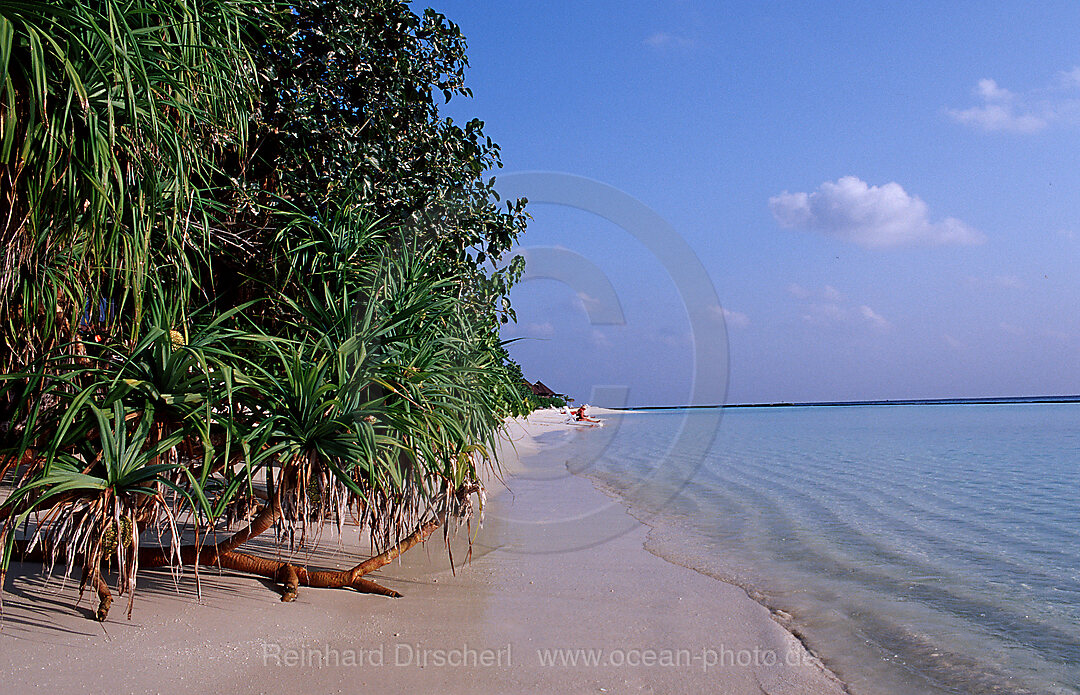 Malediveninsel Strand