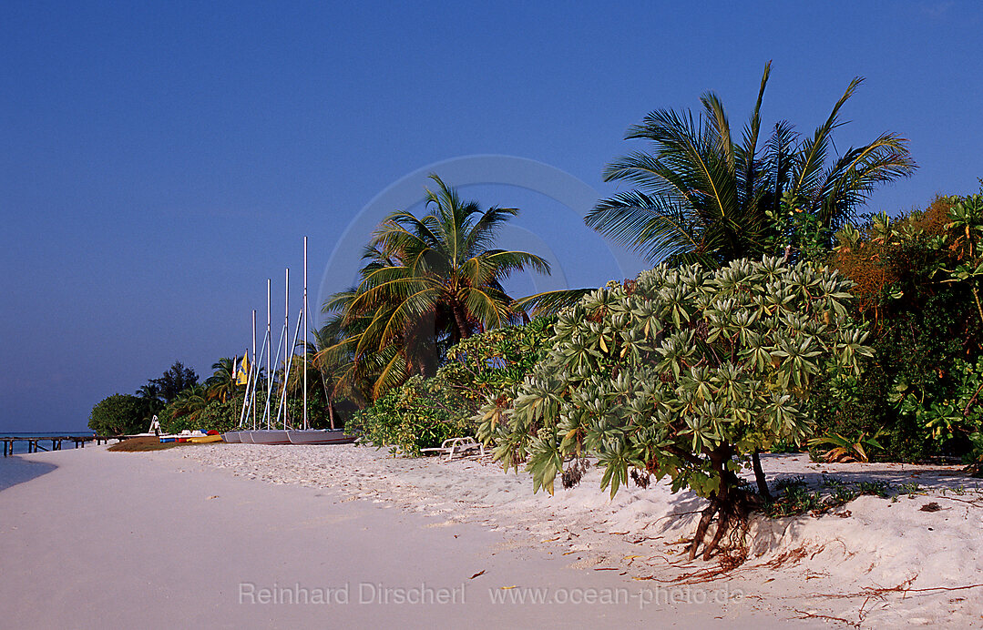 Malediveninsel Strand