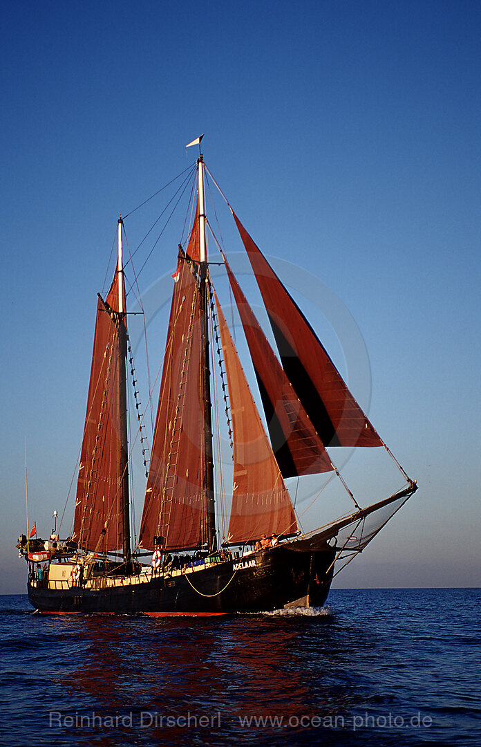 Segelschiff Adelaar, Indischer Ozean, Komodo National Park, Indonesien