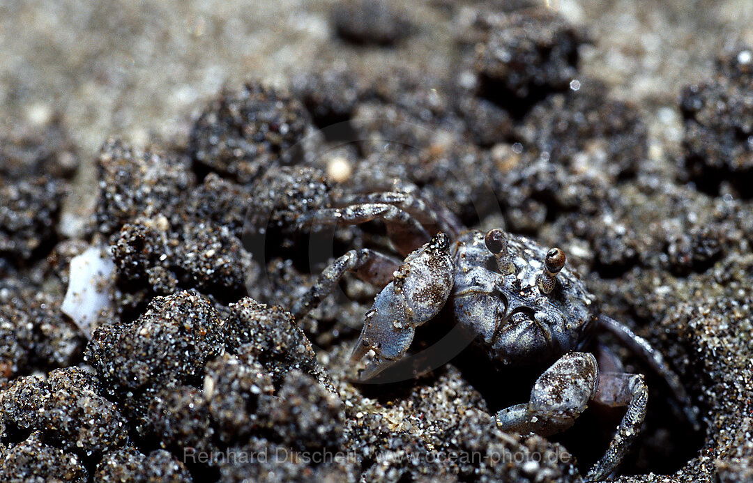 Sand bubbler forming sand balls