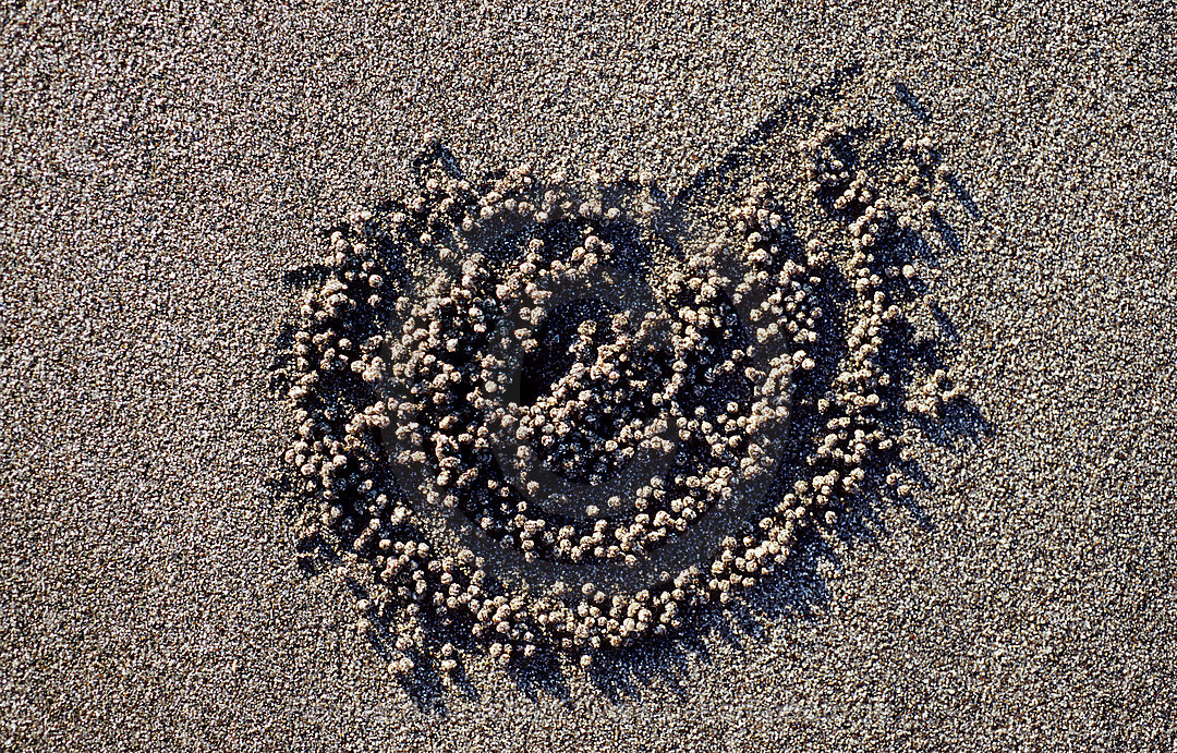 Sand formation, made by Sand bubbler