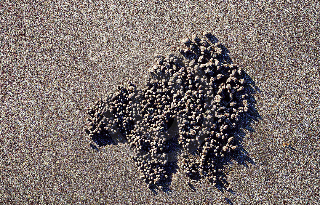 Sand formation, made by Sand bubbler