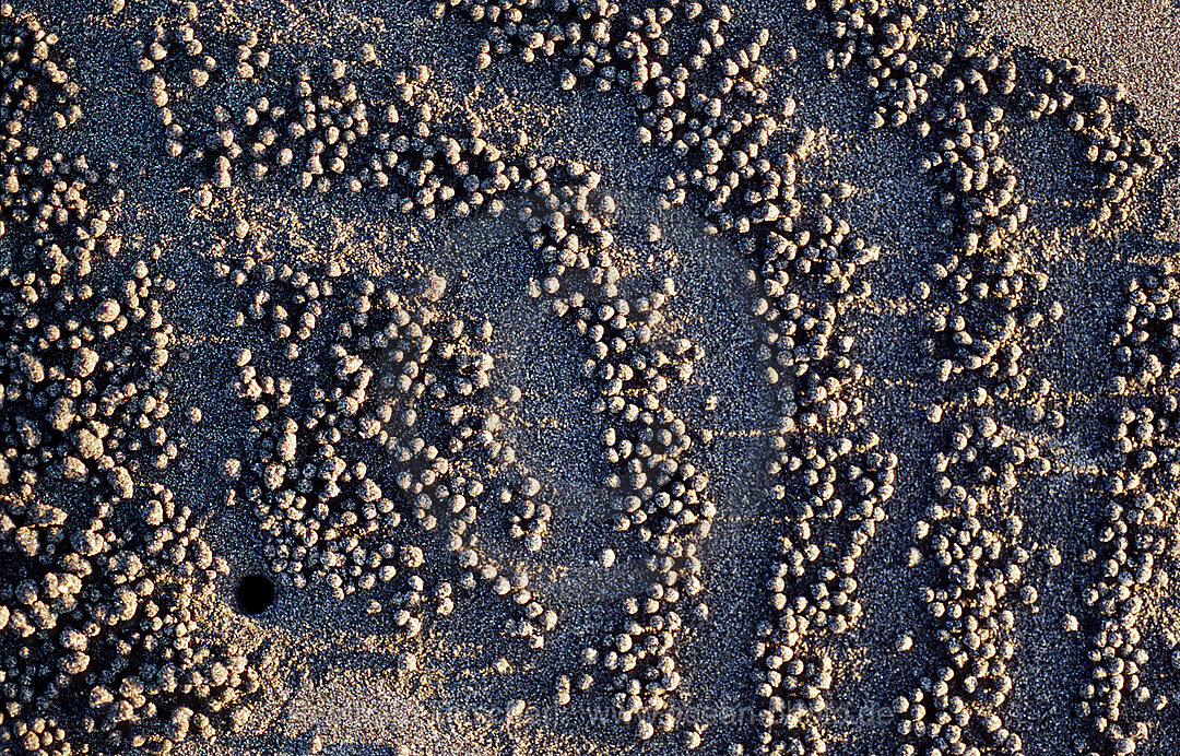 Sand formation, made by Sand bubbler